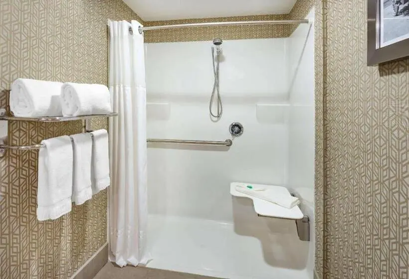 اتاق استاندارد برای معلولان, The Americus Hotel, Trademark Collection By Wyndham