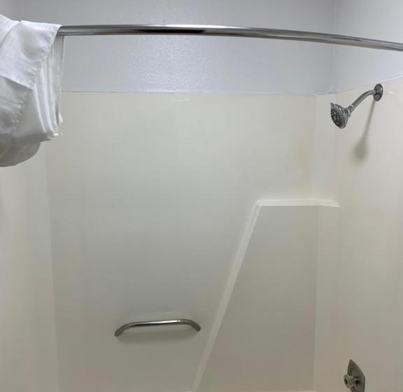 キングサイズベッドのスタンダードルーム, Rodeway Inn