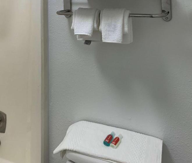 キングサイズベッドのスタンダードルーム, Rodeway Inn