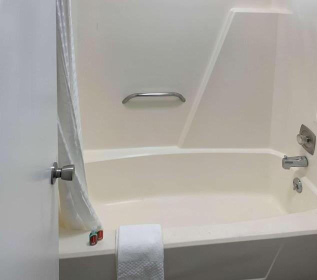 キングサイズベッドのスタンダードルーム, Rodeway Inn