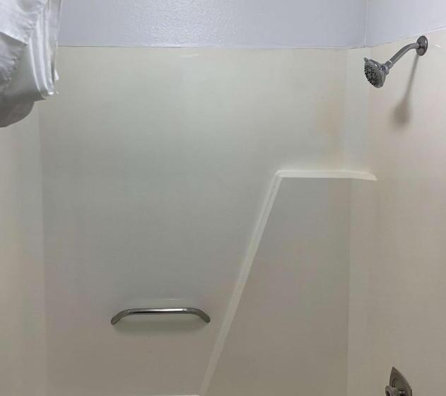 キングサイズベッドのスタンダードルーム, Rodeway Inn