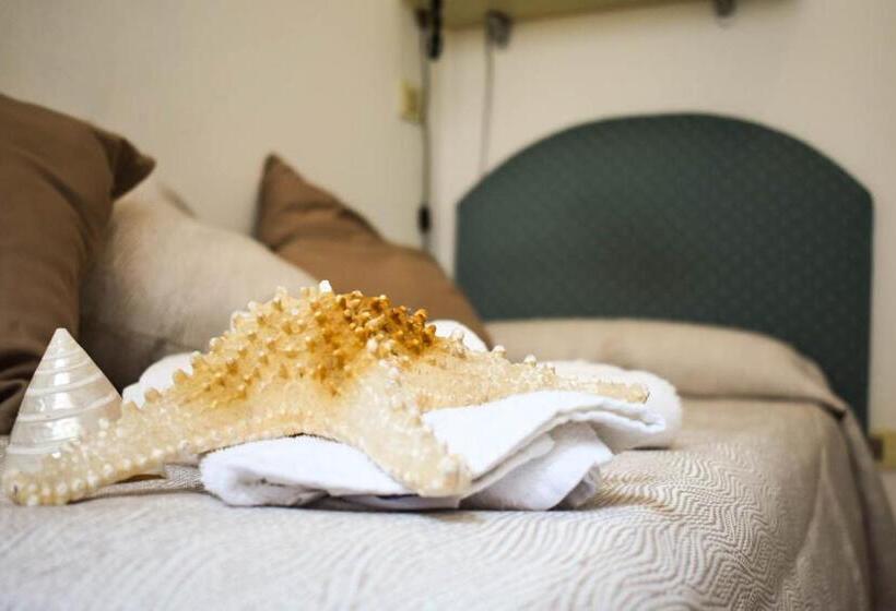 스탠다드 싱글 룸, Embassy