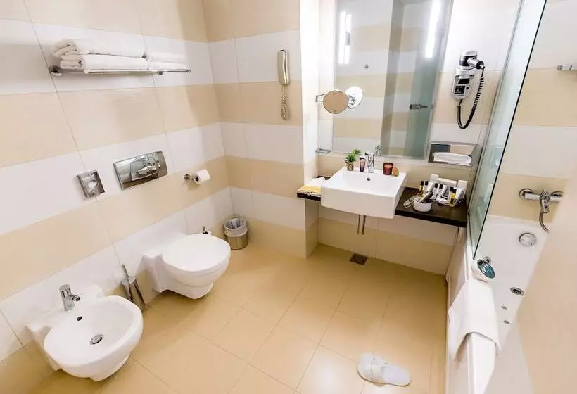 اتاق اجرایی, Golden Tulip Ana Tower Sibiu