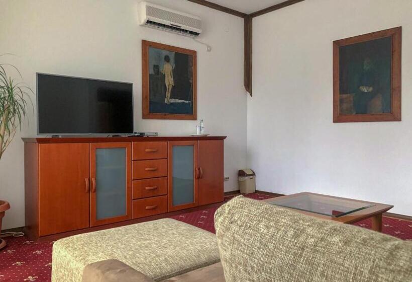 اتاق کلاسیک, Villa Vodno