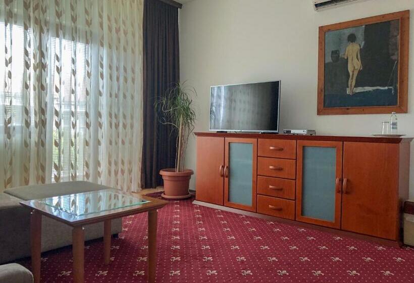 اتاق کلاسیک, Villa Vodno