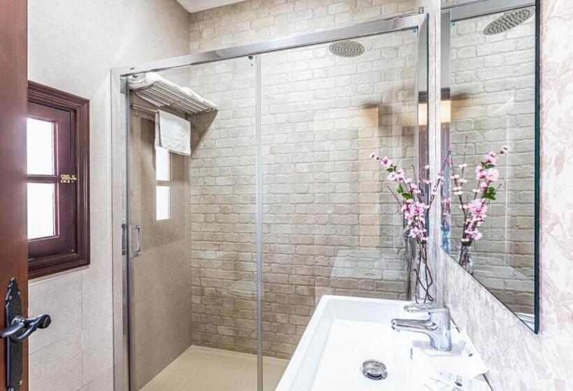 标准间, Complejo Turistico El álamo