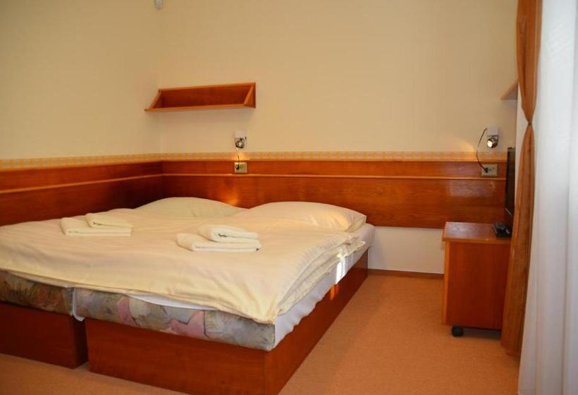 Номер Стандарт, Penzion Fontis Terrae