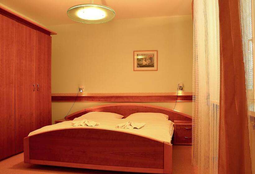 Апартаменты 1 Спальня, Penzion Fontis Terrae