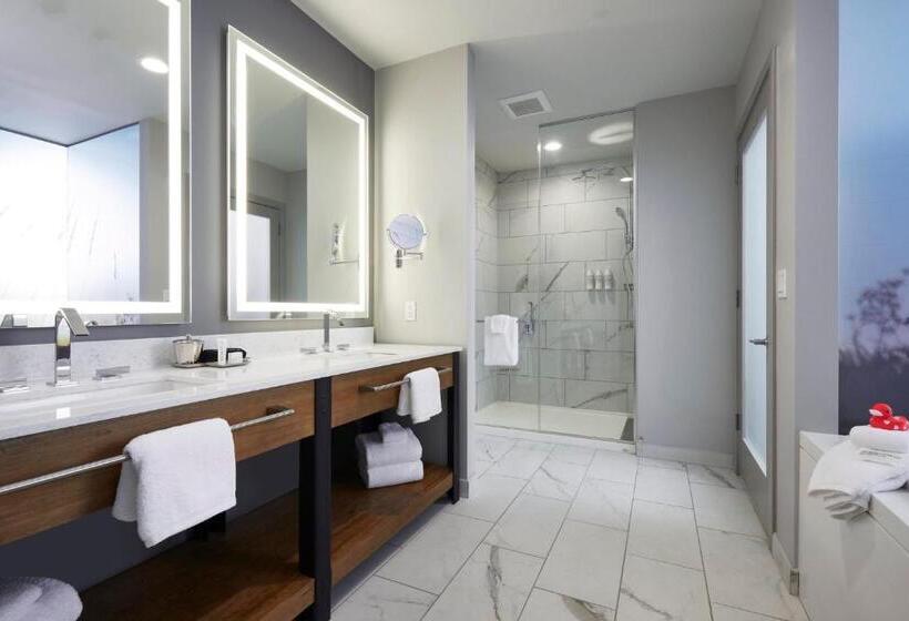 Люкс Адаптированный для Инвалидов, Archer Hotel Tysons