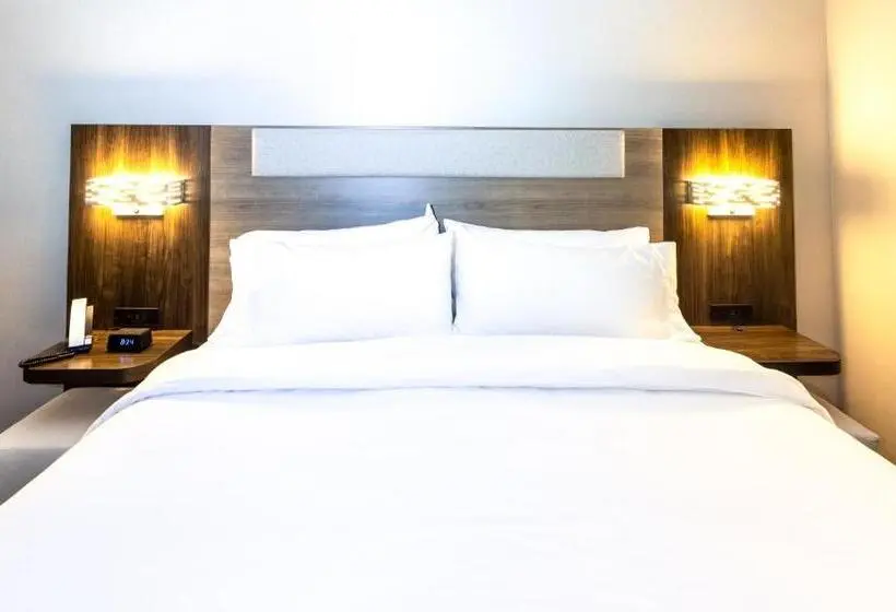 キングサイズベッドのスタンダードルーム, Holiday Inn Express & Suites   Harrisonburg University Area , An Ihg