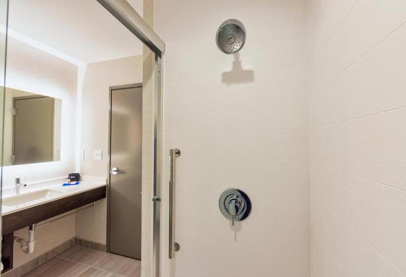 Люкс Кровать Кинг, Holiday Inn Express & Suites   Harrisonburg University Area , An Ihg