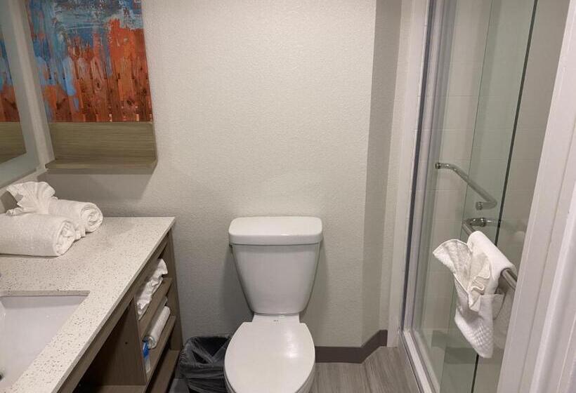 带大床的标准间, Mainstay Suites Horsham Philadelphia