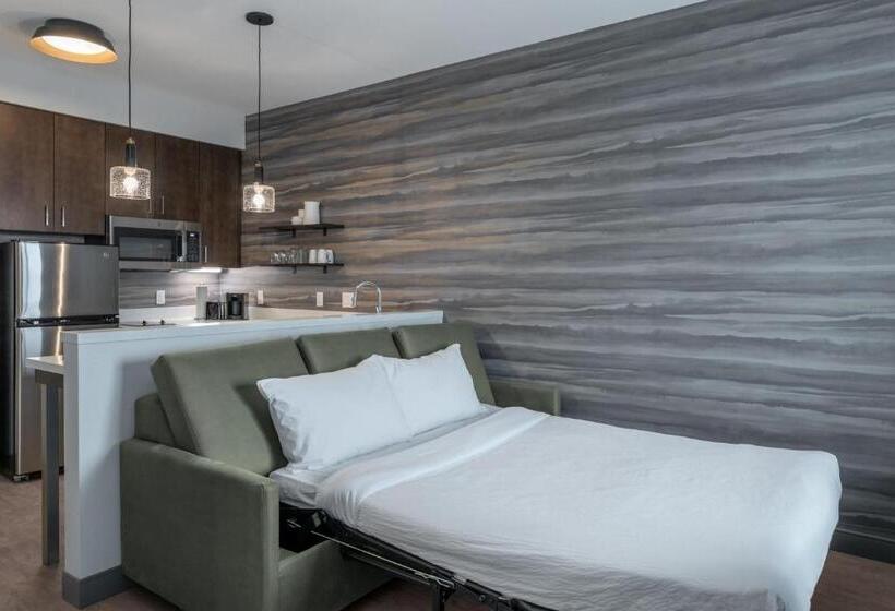 إستوديو قياسى سرير كينج, Residence Inn By Marriott Lancaster Palmdale