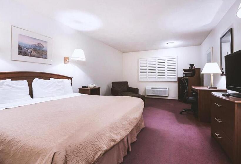 غرفة ديلوكس سرير كينج, Sky Palace Inn & Suites Mccook