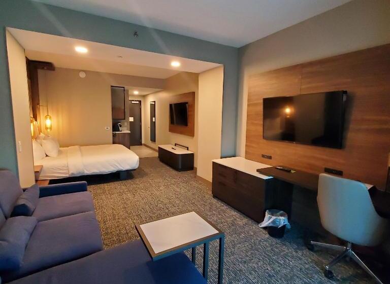 اتاق استاندارد با تخت بزرگ, La Quinta Inn & Suites By Wyndham Nashville Downtown Stadium