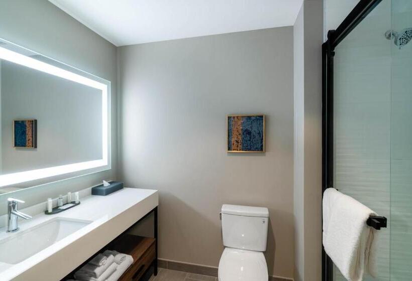 اتاق استاندارد با تخت بزرگ, La Quinta Inn & Suites By Wyndham Nashville Downtown Stadium