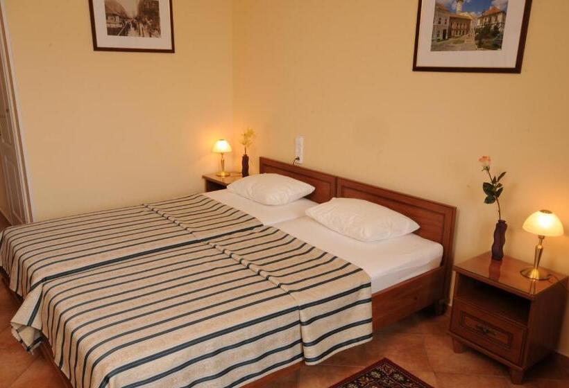 标准间, Budapest Museum Central