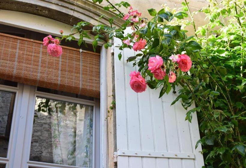 סוויטת קומפורט, Cocooning Avignon