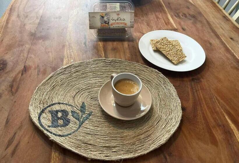 إستوديو قياسى مزودة بتراس, Birbas