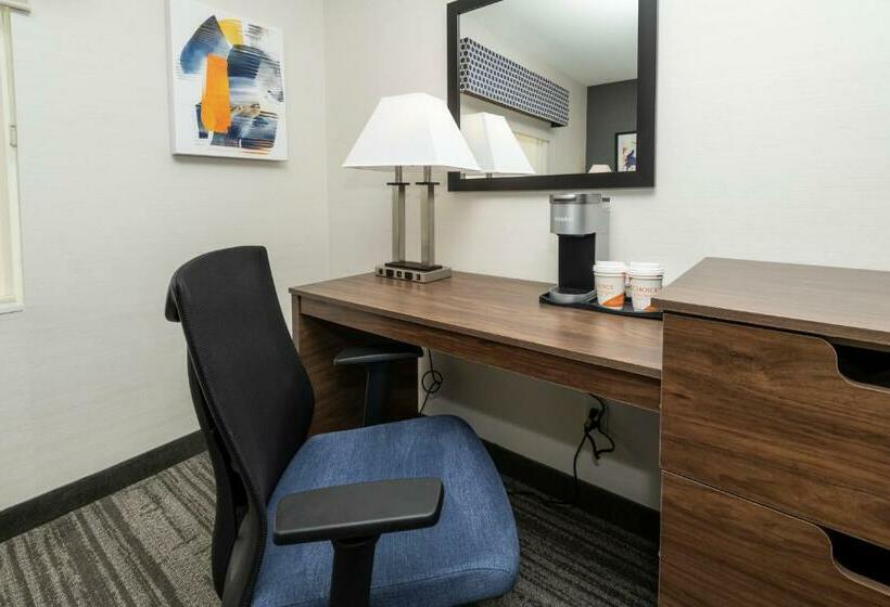 جناح سرير كينج, Comfort Inn & Suites