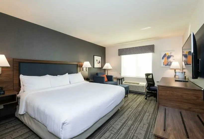 身障者適用キングサイズベッドルーム, Comfort Inn & Suites