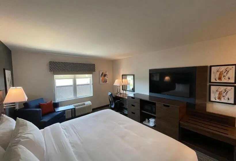 キングサイズベッドのスタンダードルーム, Comfort Inn & Suites