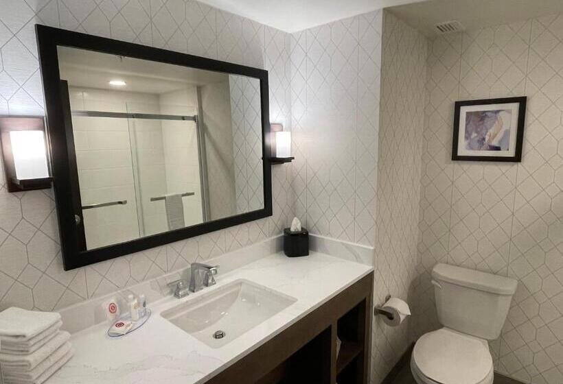 غرفة قياسية سرير كينج, Comfort Inn & Suites