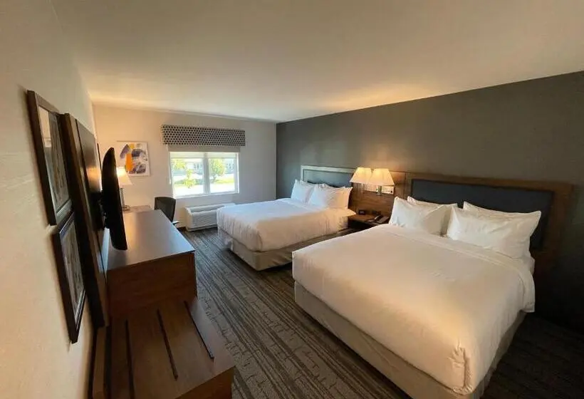 スタンダードルーム, Comfort Inn & Suites