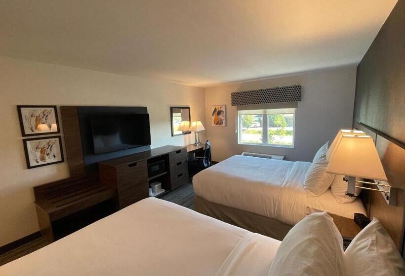 غرفة قياسية, Comfort Inn & Suites