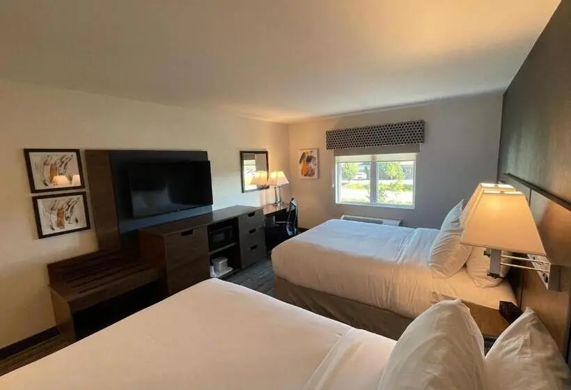 スタンダードルーム, Comfort Inn & Suites