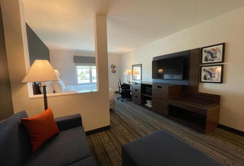 جناح سرير كينج, Comfort Inn & Suites