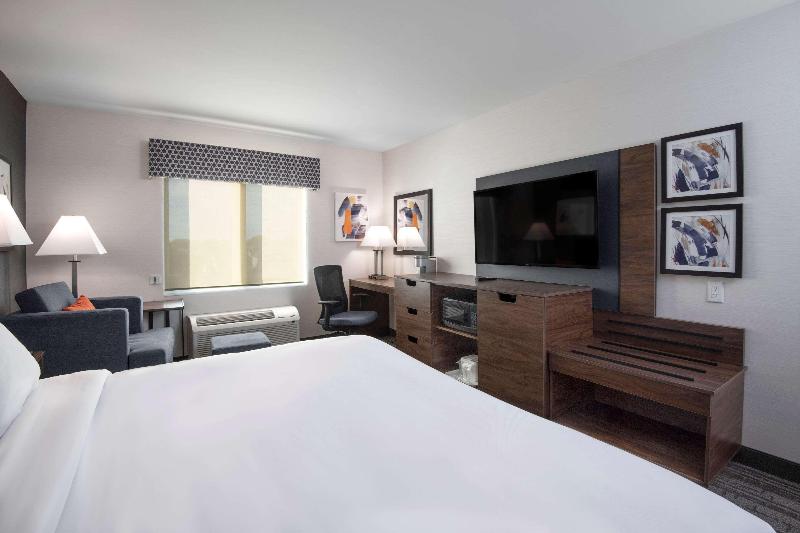 身障者適用キングサイズベッドルーム, Comfort Inn & Suites