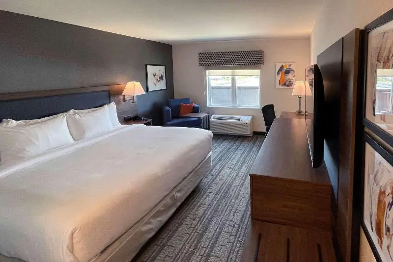 身障者適用キングサイズベッドルーム, Comfort Inn & Suites