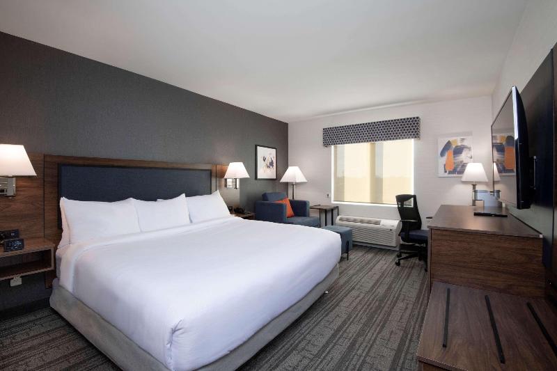 身障者適用キングサイズベッドルーム, Comfort Inn & Suites