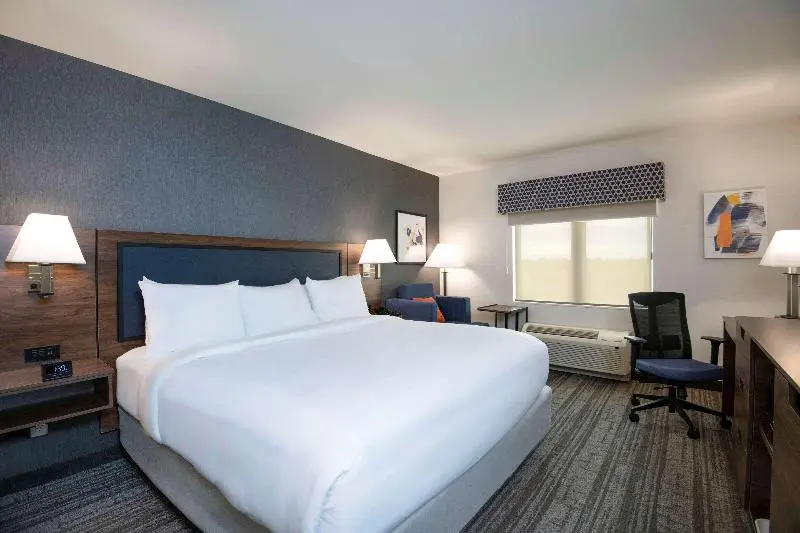 キングサイズベッドのスタンダードルーム, Comfort Inn & Suites