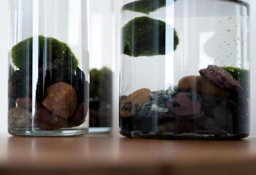 آپارتمان 1 خوابه با چشمانداز دریا, Piccola Maesta' Boutique Rooms