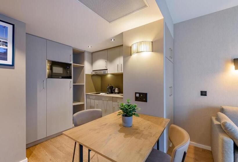 آپارتمان 1 خوابه, Aparthotel Adagio Zurich City Center