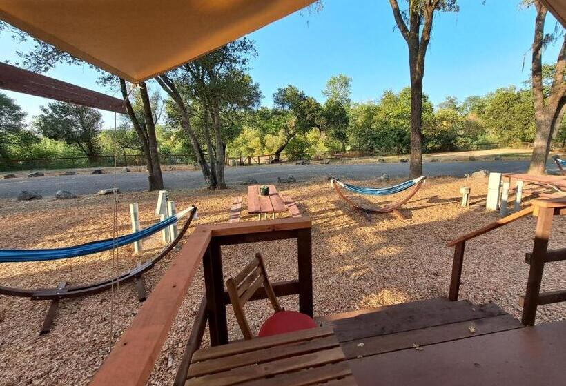 غرفة سوبيريور, Wildhaven Sonoma Glamping