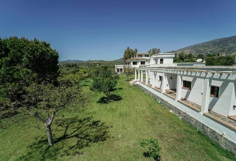 디럭스 패밀리 룸, Taray En órgiva