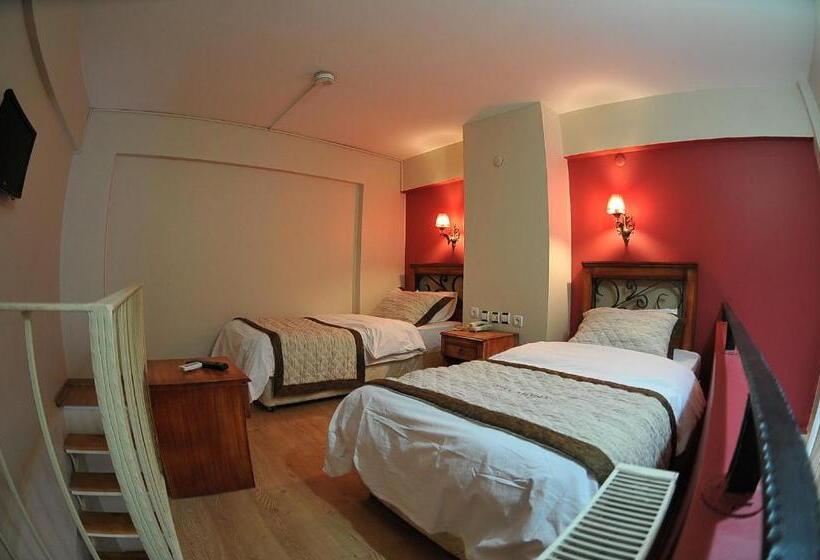 اتاق استاندارد, Antikhan