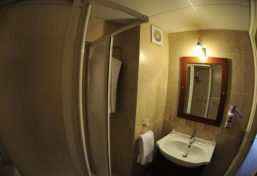 اتاق استاندارد یک نفره, Antikhan