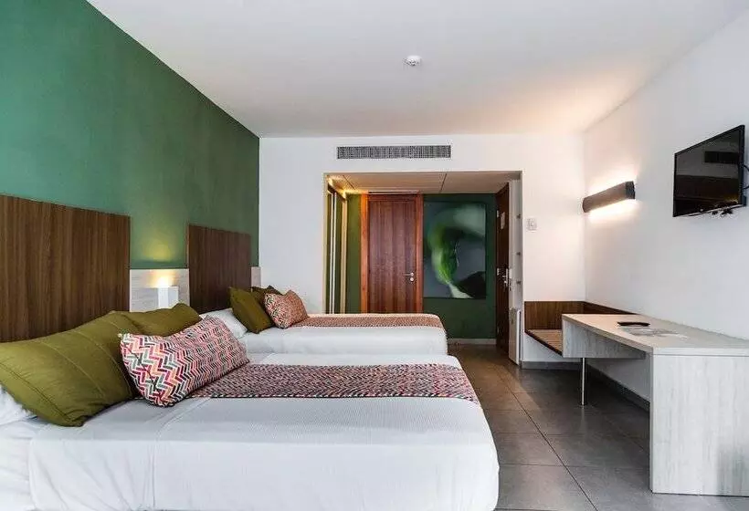 اتاق لوکس, Enotel Porto De Galinhas All Inclusive