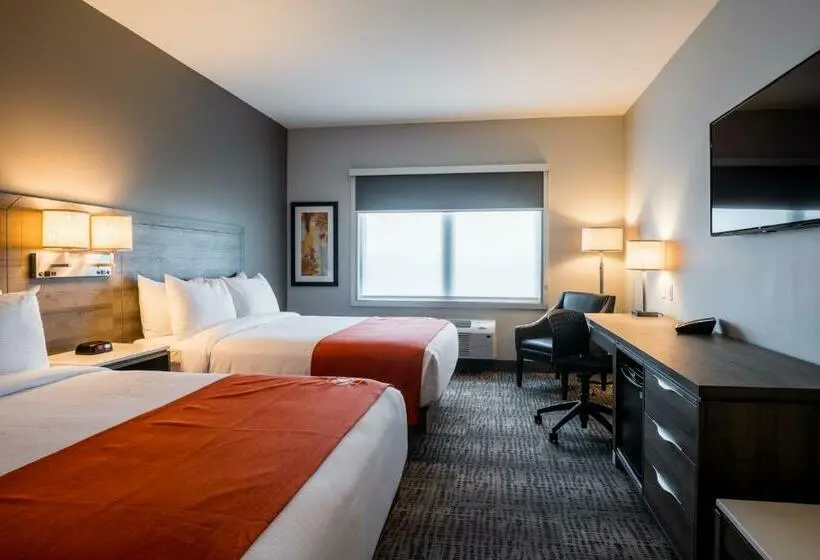 スタンダードルーム, Amsterdam Inn & Suites Florenceville