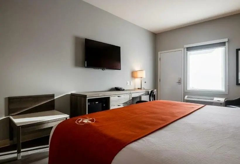キングサイズベッドのスタンダードルーム, Amsterdam Inn & Suites Florenceville