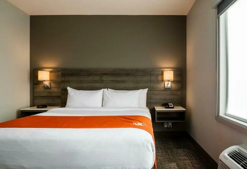 スイート, Amsterdam Inn & Suites Florenceville