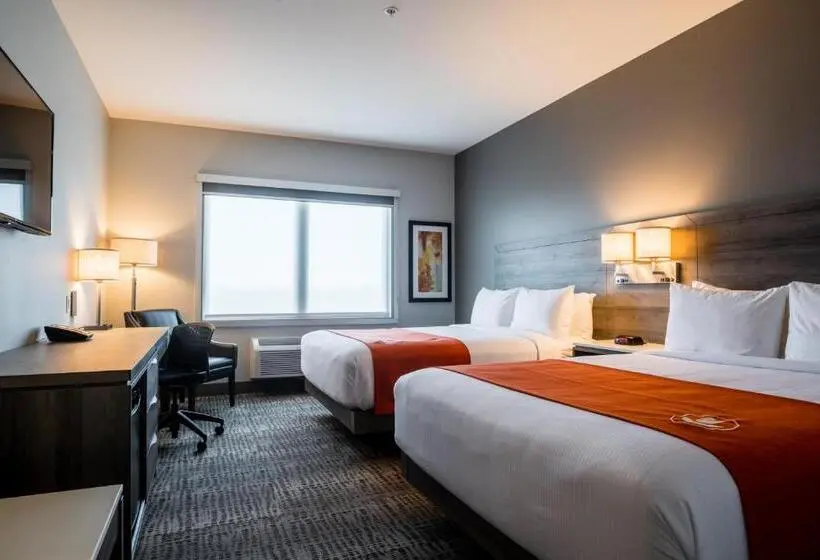 スタンダードルーム, Amsterdam Inn & Suites Florenceville