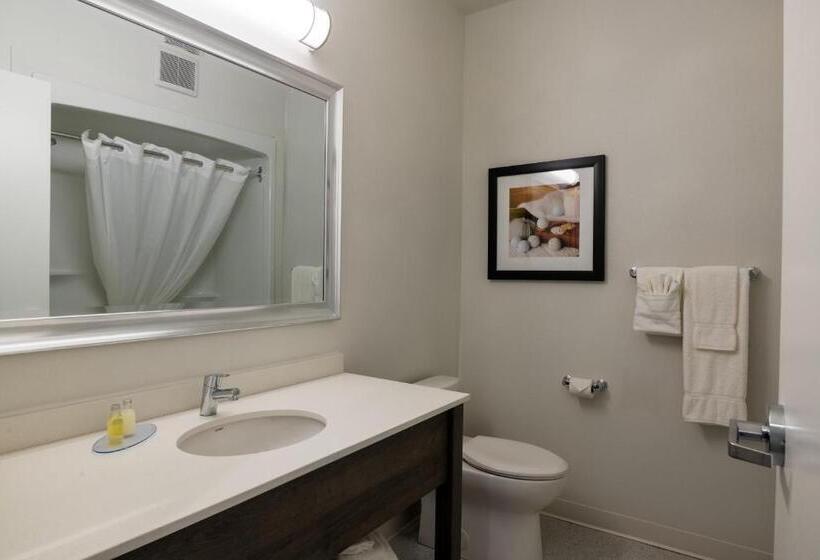 غرفة قياسية, Amsterdam Inn & Suites Florenceville