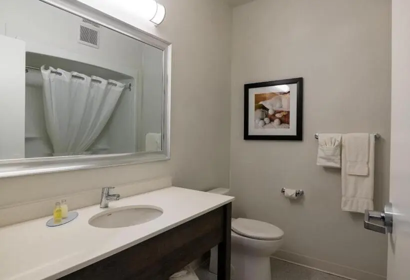 スタンダードルーム, Amsterdam Inn & Suites Florenceville