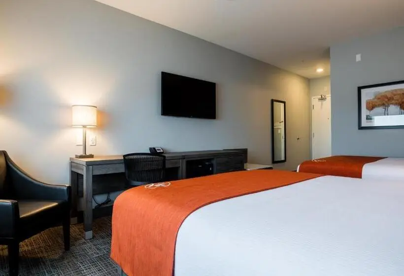 スタンダードルーム, Amsterdam Inn & Suites Florenceville