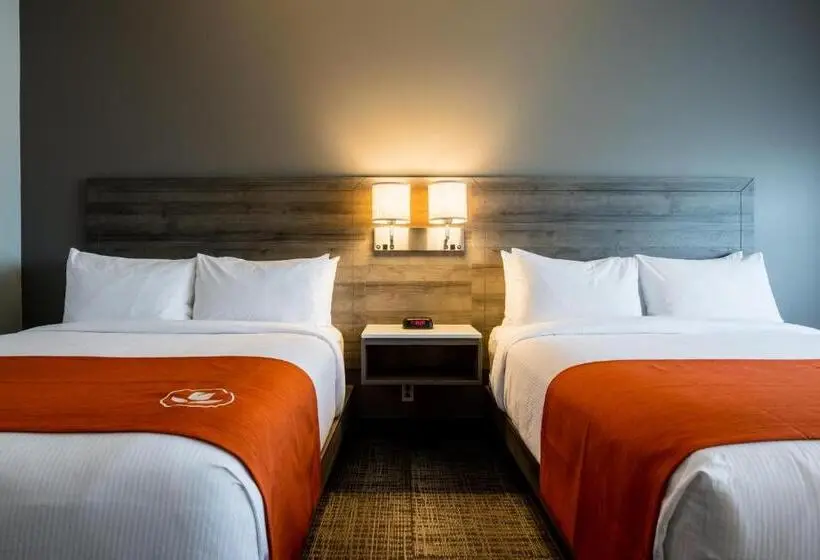 スタンダードルーム, Amsterdam Inn & Suites Florenceville